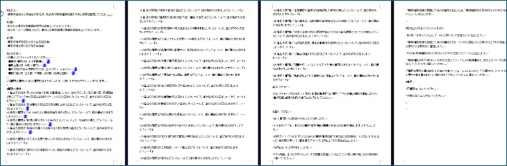 250612_職務権限プロンプト.jpg